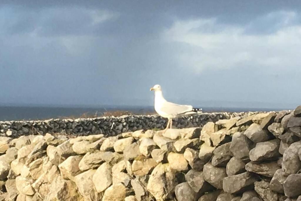 Apartment On Wild Atlantic Way Fanore 外观 照片